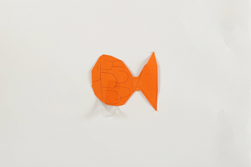 Pauline, poisson de Abel