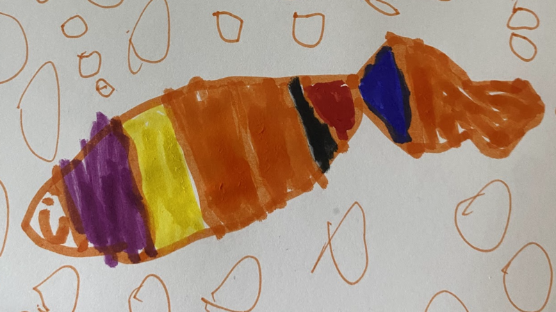 Citrouille, poisson de Lino