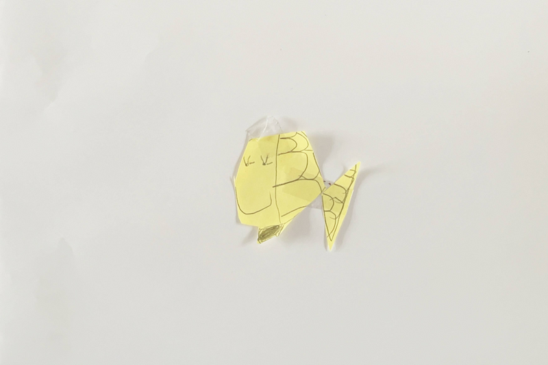 Grenouille, poisson de Louis