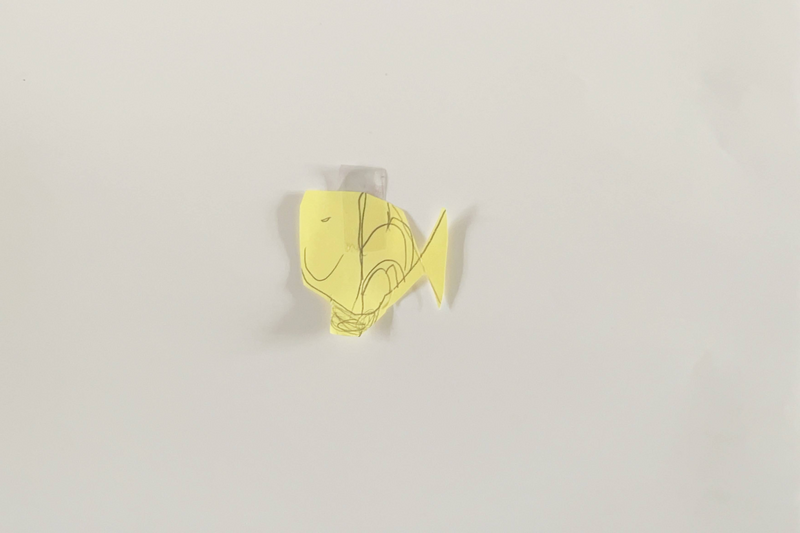 Grognon, poisson de Louis